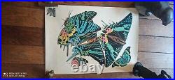 Papillons Planche 1 7 Émile Allain Seguy Art Déco Vintage Art France