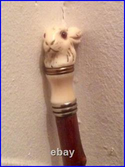 Petite Canne Collection Lapin Argent Os Bois Noueux +++ French Antique art deco